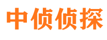 淅川婚外情调查取证